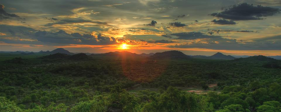 safari Save Valley Zimbabwe